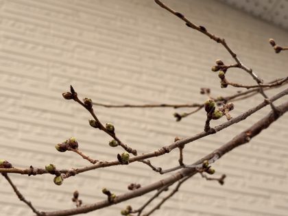 学生時代の先生の言葉 イメージ
