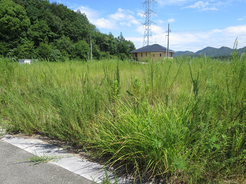 仮設住宅予定地